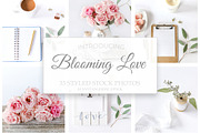 Blooming Love - Styled Stock Photos, a Background Photo by SunnyTangerine Stock (Thumbnail 1 of 12)