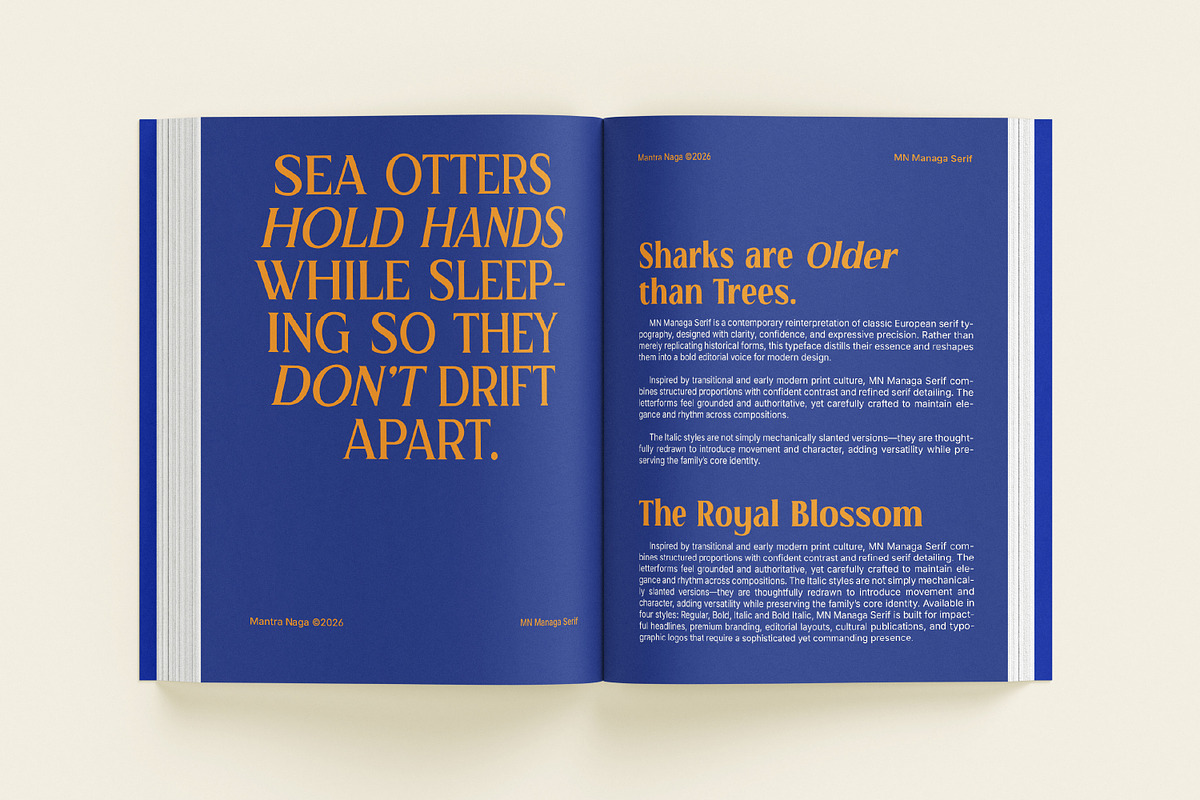 MN Managa Serif - Contemporary Serif, a Serif Font by Mantra Naga (Photo 3 of 18)