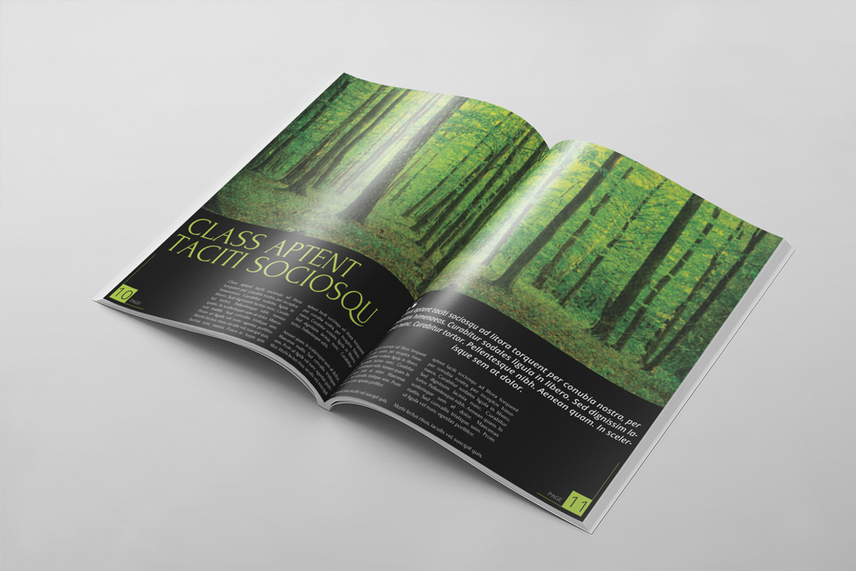 Magazine Template 25, a Magazine Template by pmvch (Photo 8 of 10)