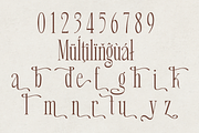 Eghton – Serif Font, a Serif Font by NDNL Studio (Thumbnail 8 of 9)