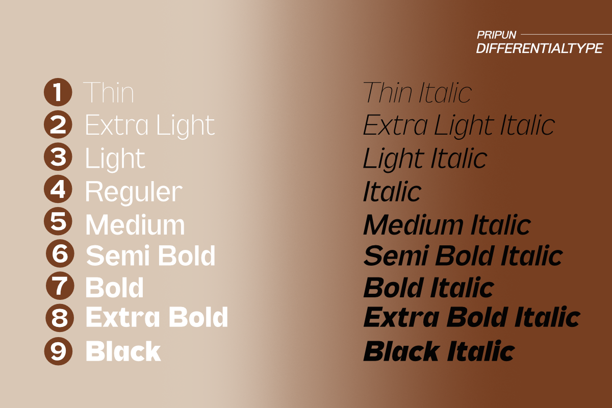 Pripun - San Serif Family, a Sans Serif Font by Differentialtype (Photo 2 of 11)