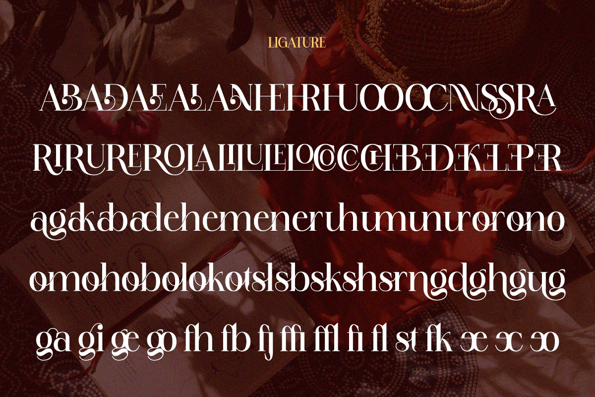 Holybirth - Modern Aesthetic Serif, a Serif Font by Qweera Studio (Photo 10 of 12)