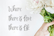 Treandy, a Script Font by Artic Type (Thumbnail 2 of 9)