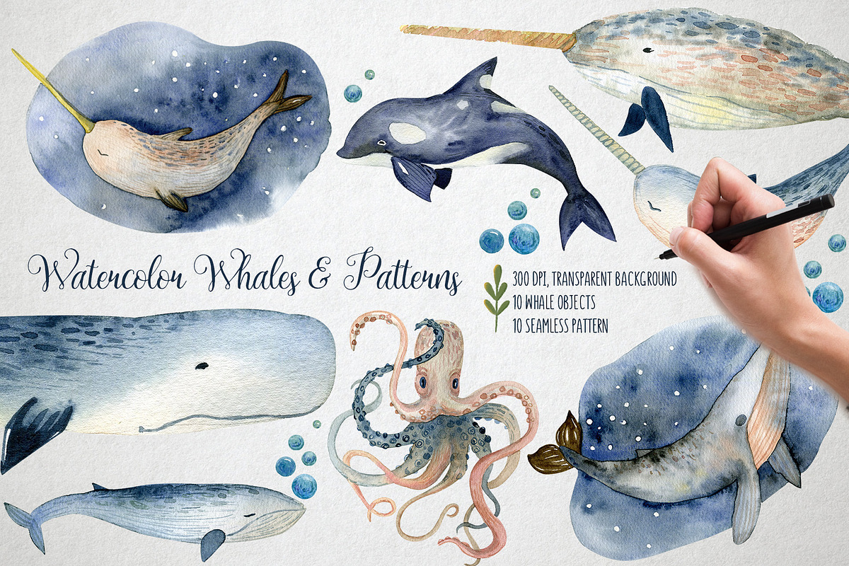Watercolor Whales & Patterns, an Animal Illustration by annasokol_ (Photo 1 of 6)