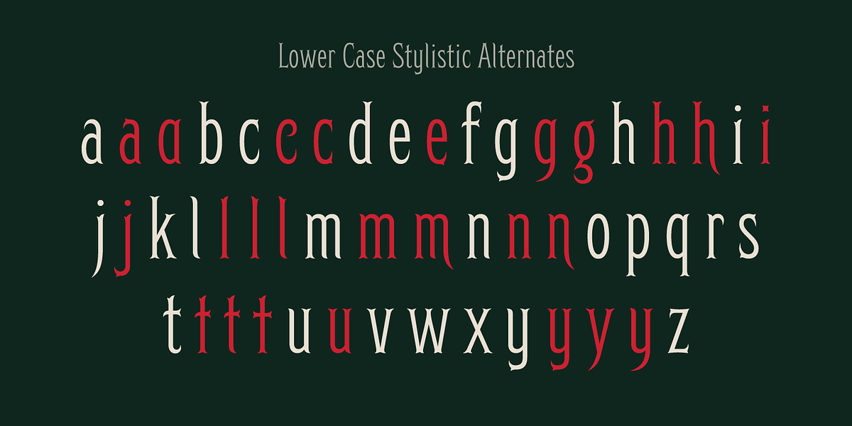 Herschel, a Serif Font by Tried & True Supply Co. (Photo 11 of 16)