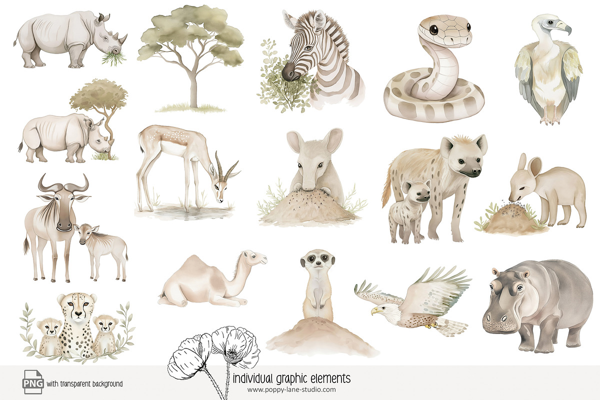 100 African savanna animals clip art, an Animal Illustration by Poppy Lane Studio (Photo 6 of 12)