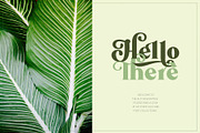 Mollas Typeface, a Serif Font by alit design (Thumbnail 3 of 18)