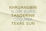 SABAL PALM by Abby Leighton, a Sans Serif Font by Abby Leighton Studio (Thumbnail 4 of 4)