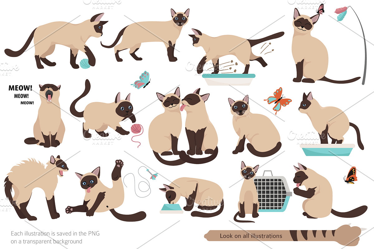 Cartoon cats clipart set, an Animal Illustration by pet design shop (Photo 6 of 12)