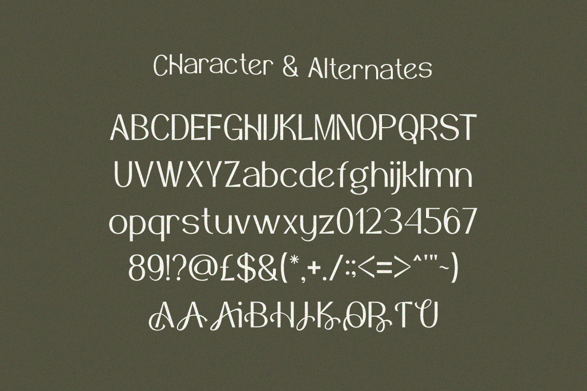 Jovencua Elegant Serif Font, a Serif Font by Vadovastd (Photo 2 of 8)