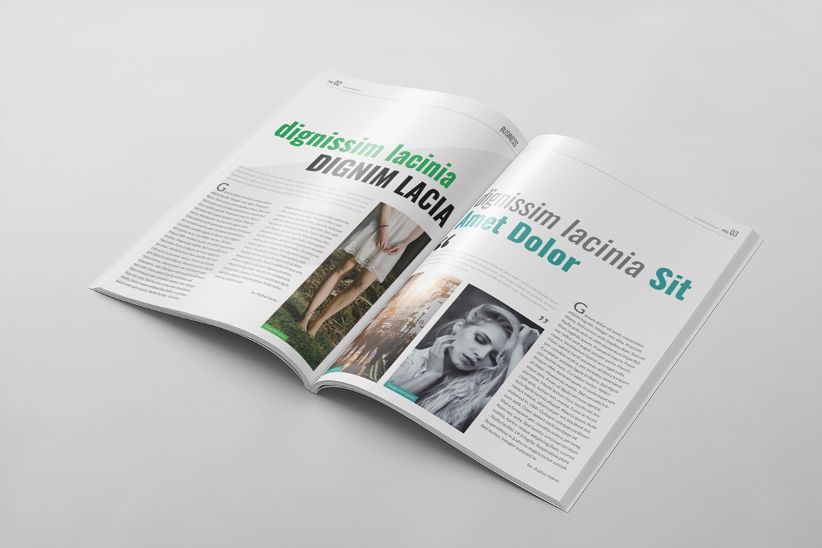 Magazine Template 54, a Magazine Template by pmvch (Photo 16 of 18)