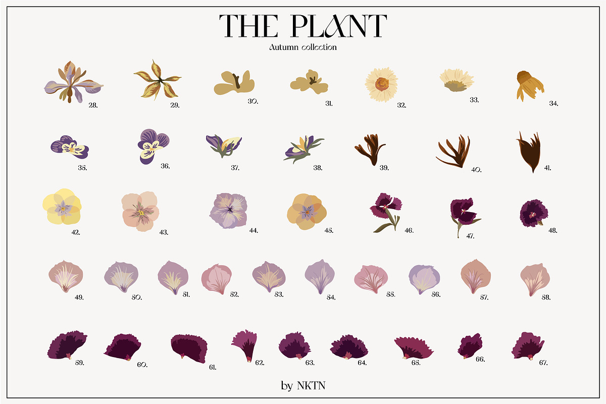 The PLANT. Autumn collection, a Pattern Graphic by NKTN (Photo 5 of 18)