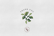 Melissa: watercolor floral elements, an Illustration by vivo e verde (Thumbnail 11 of 11)