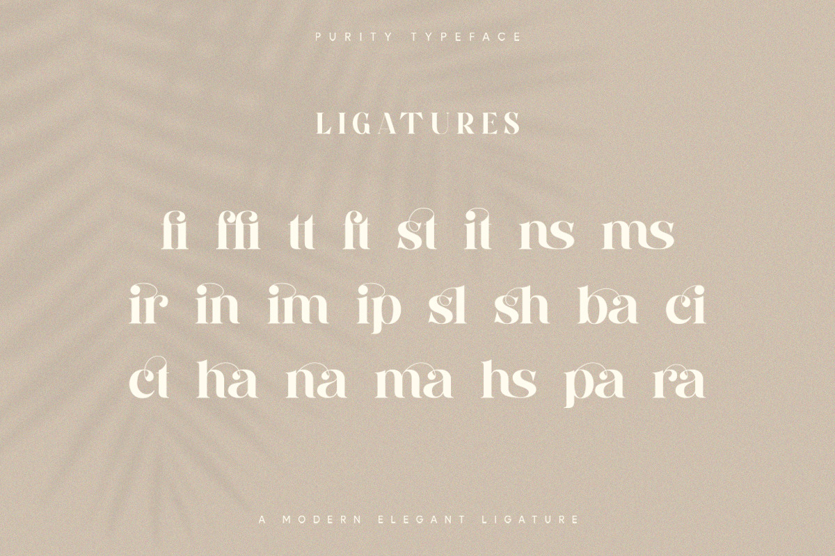 Purity - Modern Ligature Font, a Serif Font by TypeFounder (Photo 10 of 11)