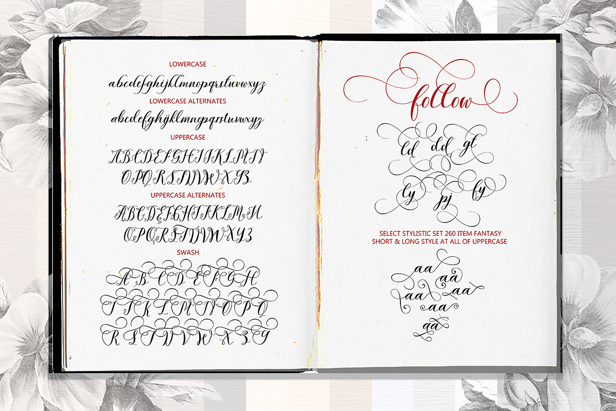 Salamanta Script preview 6