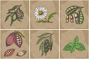 Hand drawn vector plants, a Food Illustration by SHom (Thumbnail 13 of 17)