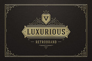 250 ornaments logos & monograms, a Branding & Logo Template by Vasya Kobelev (Thumbnail 18 of 23)