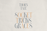 Thorn & Tale – A Refined Serif Font, a Serif Font by VP Fonts (Thumbnail 16 of 30)