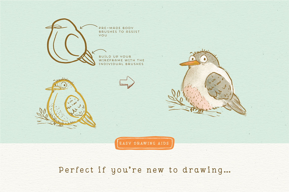 Procreate Bird Drawing Toolkit, a Brush Add-On by Lisa Glanz (Photo 7 of 13)
