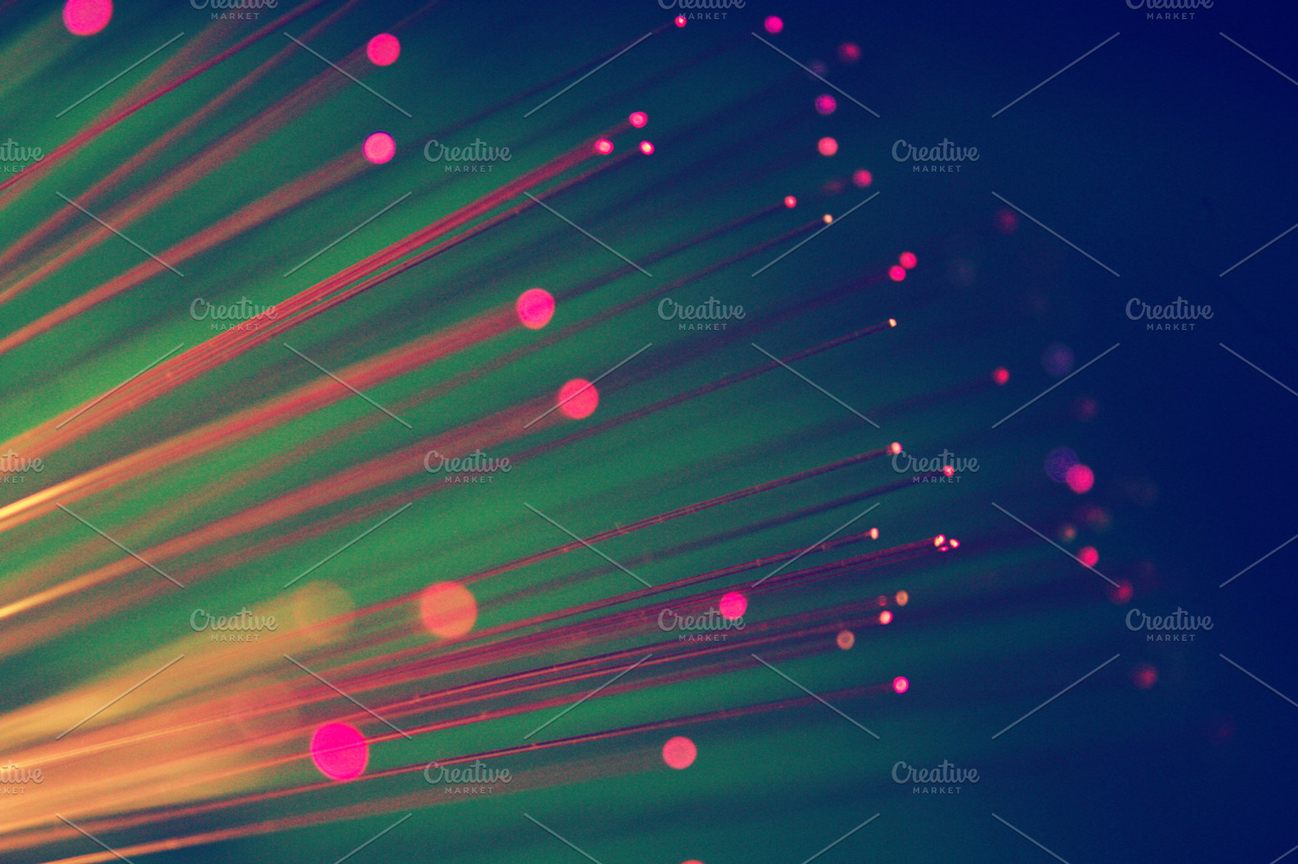 pink fiber optic, an Abstract Photo by André Bernardo