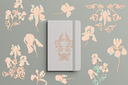 Fine Art Wedding Clipart, an Illustration by Sensual Art (Thumbnail 11 of 16)