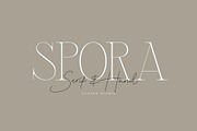 Spora Font Duo, a Serif Font by vuuuds (Thumbnail 12 of 14)