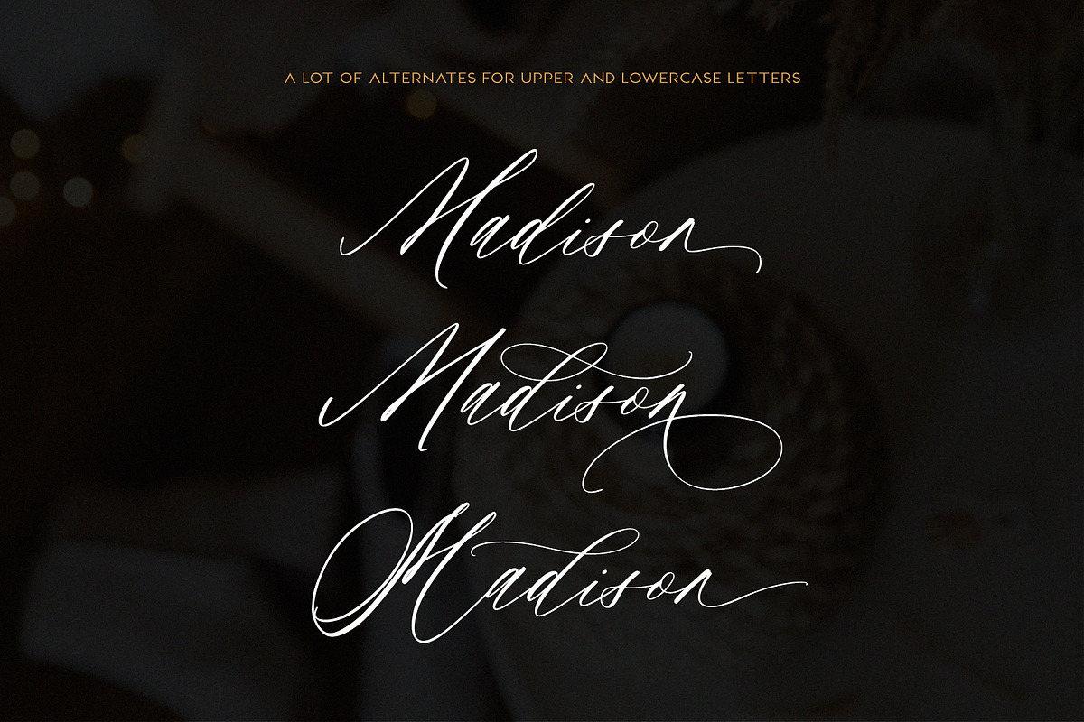 Saint Viet | Calligraphy Font, a Script Font by Calamar Studio (Photo 25 of 29)