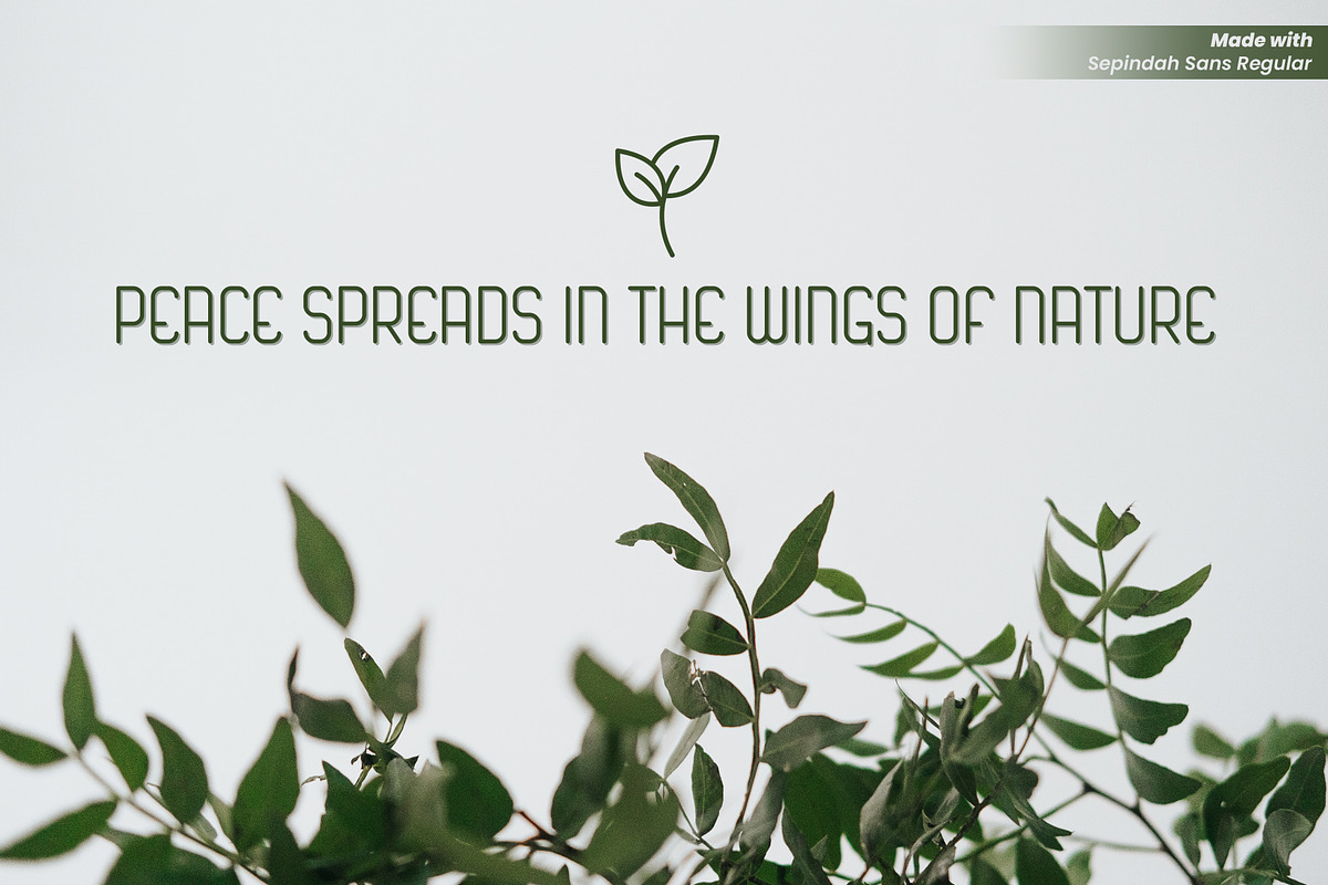 Sepindah Font Duo Sans & Script, a Handwritten Font by Iwanistic (Photo 4 of 15)