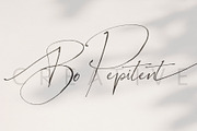 Studio Baked Font Collection, a Script Font by Creativeqube Design (Thumbnail 2 of 23)