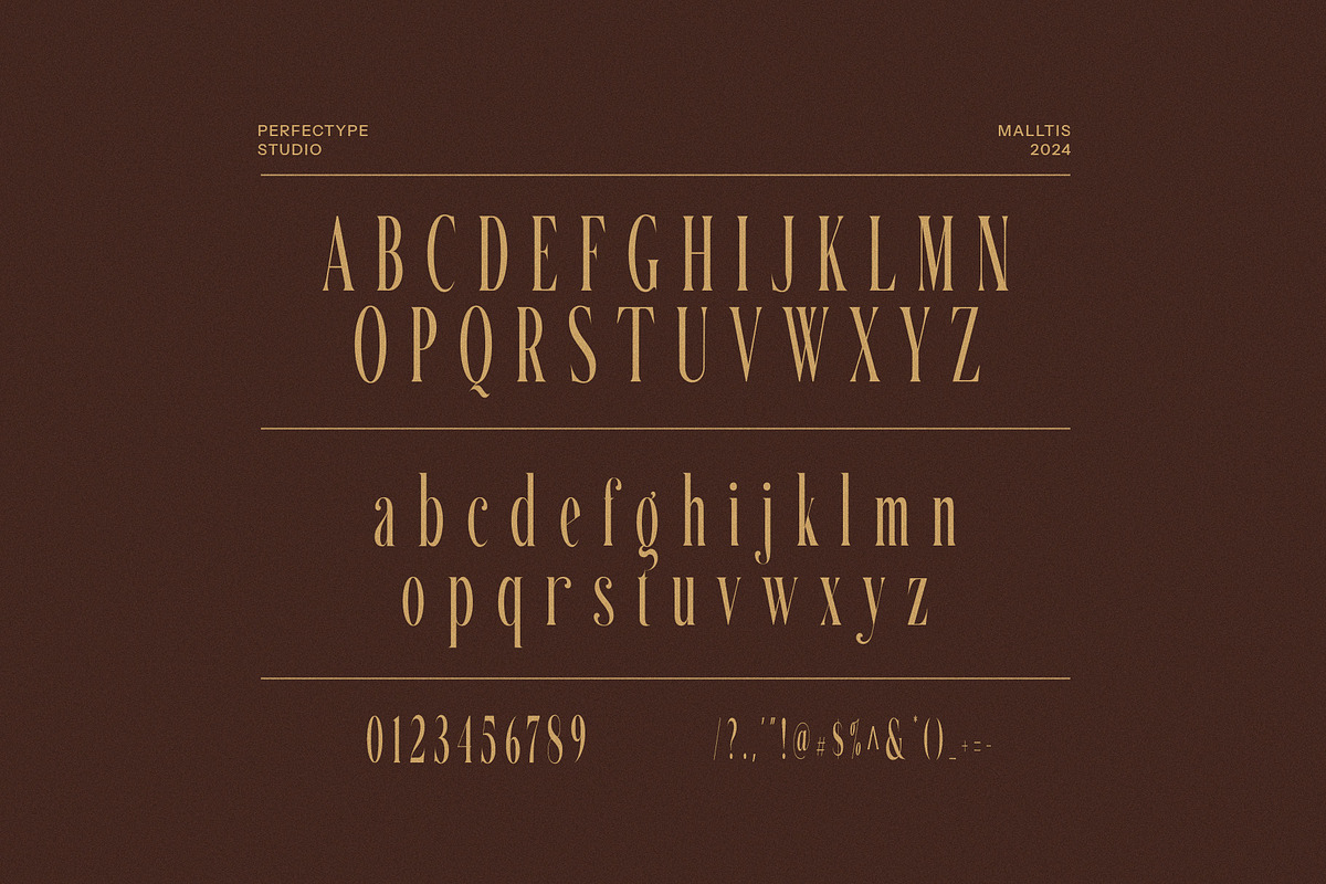 Malltis Stylish Serif Font, a Serif Font by Perfectype (Photo 8 of 8)