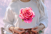 Rose Clipart Bundle Blush Flower, an Illustration by designcity5 (Thumbnail 5 of 5)