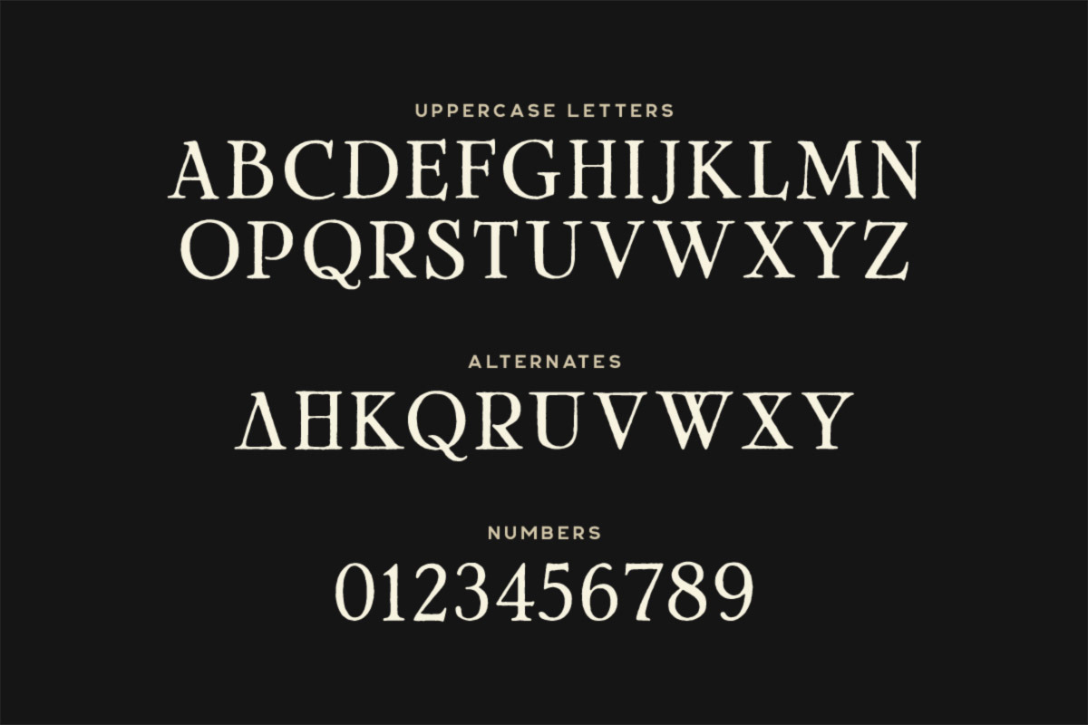 Scipio Typeface, a Serif Font by Tugcu Design Co. (Photo 2 of 3)
