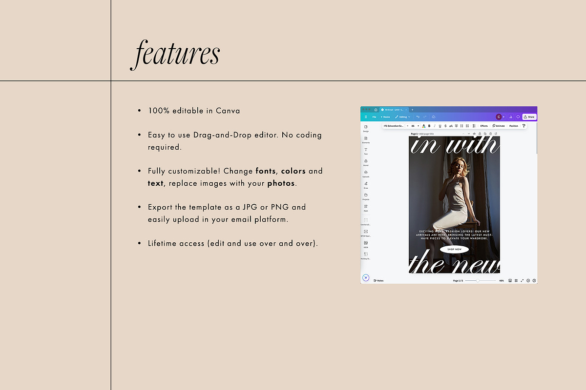 Stylish Canva Email Template Bundle, an Email Template by KikiBunnyCreative (Photo 9 of 12)