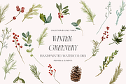 Winter Christmas Greenery Collection, a Decorative Illustration by Grace Noboa Illustrations (Thumbnail 7 of 8)