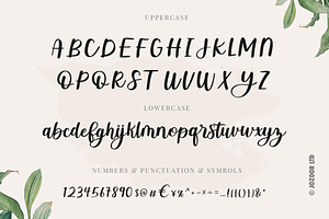 Bellony - Handwritten Script Font