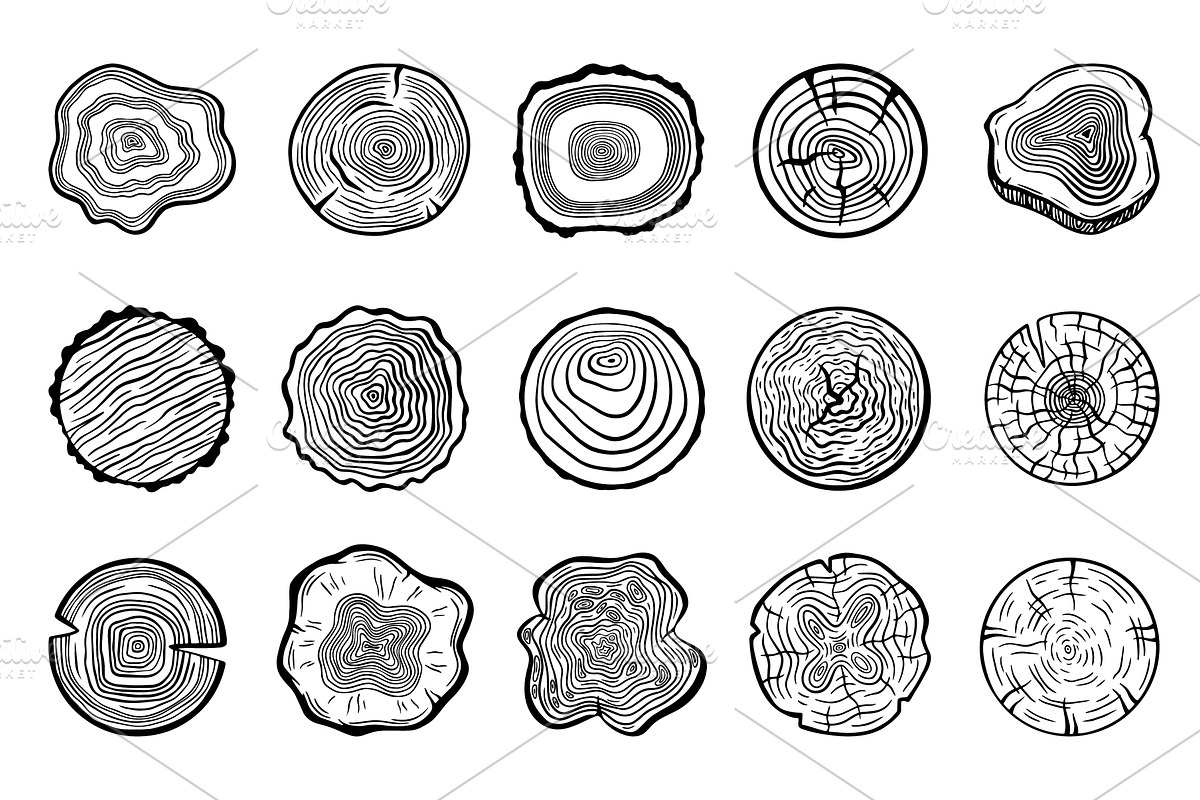 Tree circles. Wood slices with rings, an Object Illustration by Valerie Bodnar