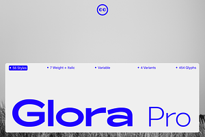 ZT Glora Pro - Variable / 56 Fonts