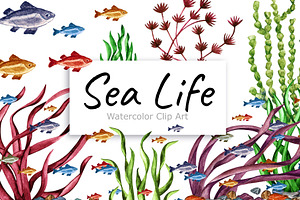 Watercolor Sea life