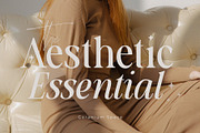 Aesthetic Essential | Modern Serif, a Serif Font by Megi Satyo Widodo (Thumbnail 1 of 22)