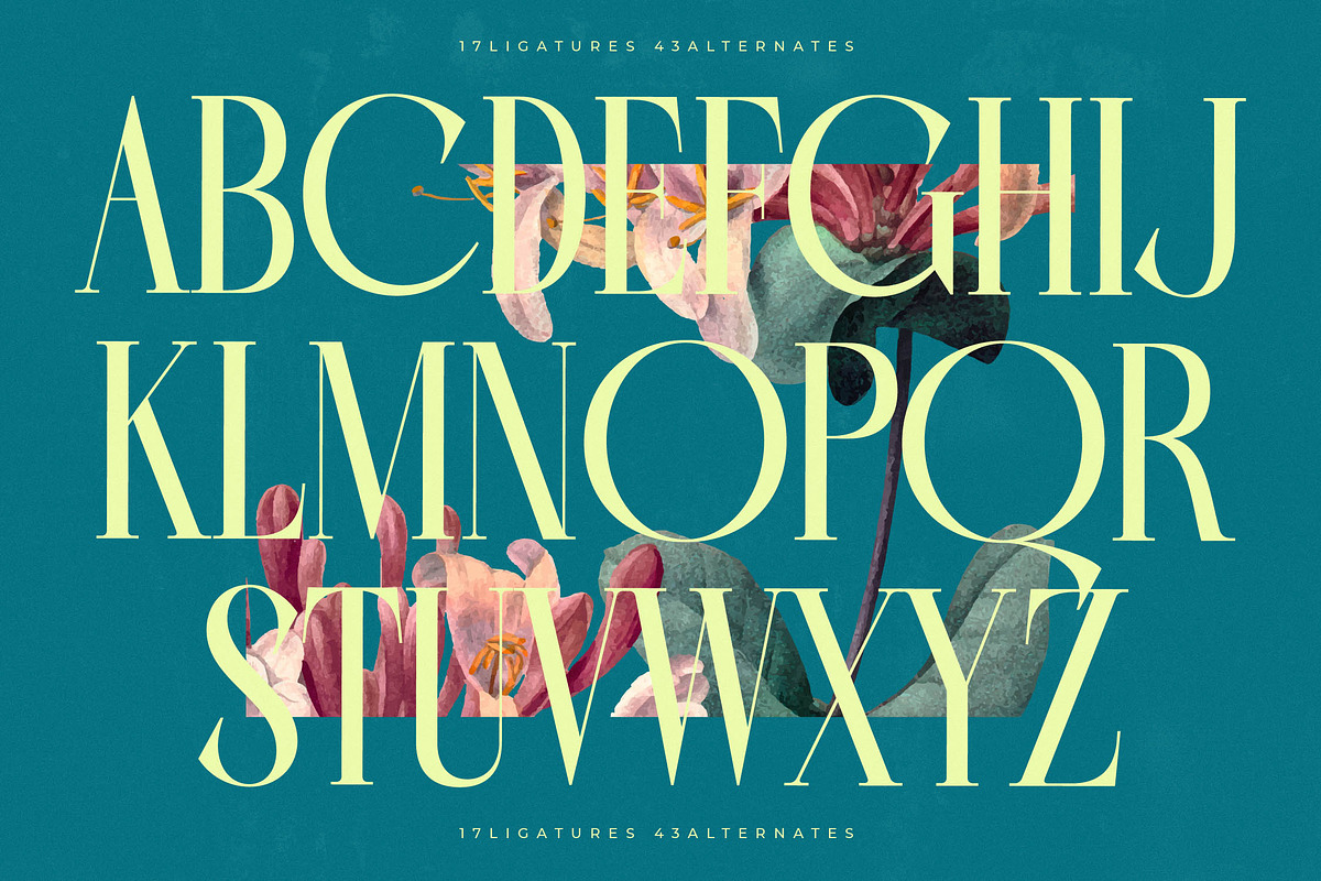 Balliome Modern Serif Typeface, a Serif Font by timelesstype.co (Photo 3 of 20)