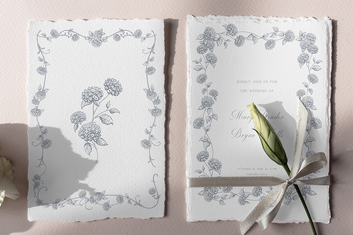 Hydrangea line art flowers, an Object Illustration by Sensual Art (Photo 6 of 9)