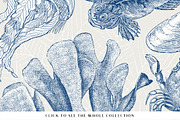 88 Vintage Nautical Illustrations, an Illustration by Century Library (Thumbnail 2 of 6)