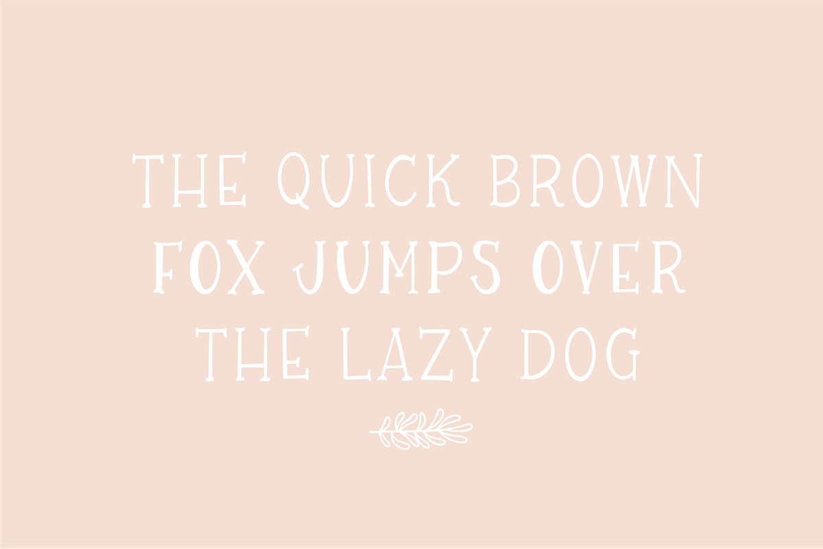 ORGANICS a Farmhouse Serif Font preview 3