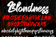 Blondness, a Script Font by CCONCEPTLAB (Thumbnail 4 of 4)
