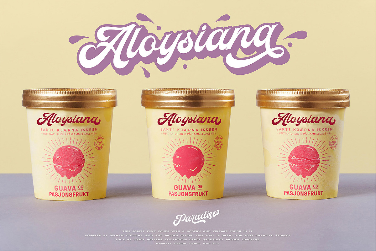 Paradiso Bold Script, a Script Font by ngene (Photo 9 of 11)