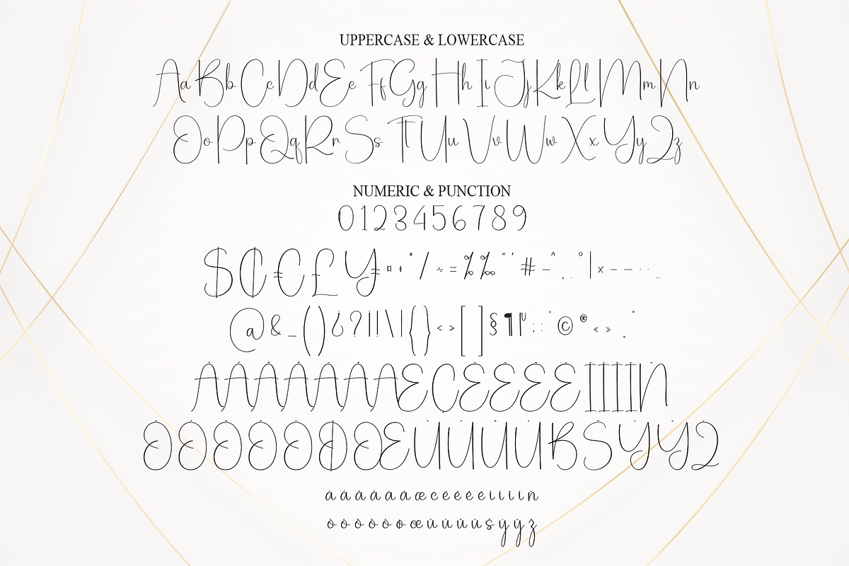 Elegant | Script Font, a Handwritten Font by Scratchones (Photo 7 of 9)