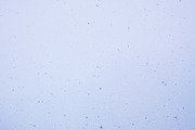 Snowfall textures and overlays, a Nature Photo by pictures for you (Thumbnail 14 of 15)