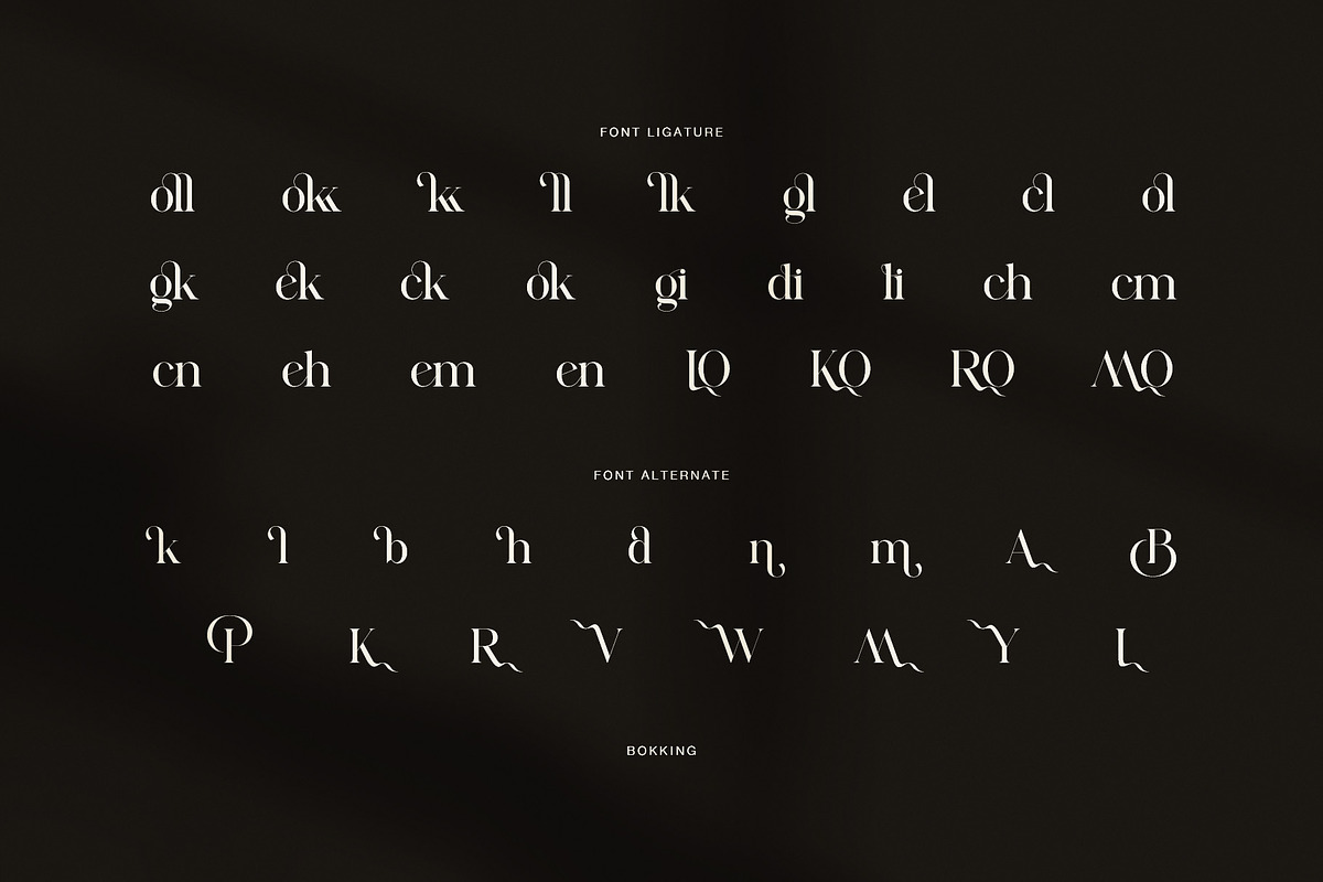 Bokking Elegant Serif Font, a Serif Font by Perfectype (Photo 8 of 8)