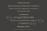 Salting - Handwritten Font, a Handwritten Font by Alpaprana (Thumbnail 8 of 9)