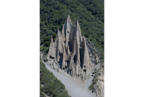 In Pyrénées-Orientales, Languedoc, an Animal Photo by ZinetroN